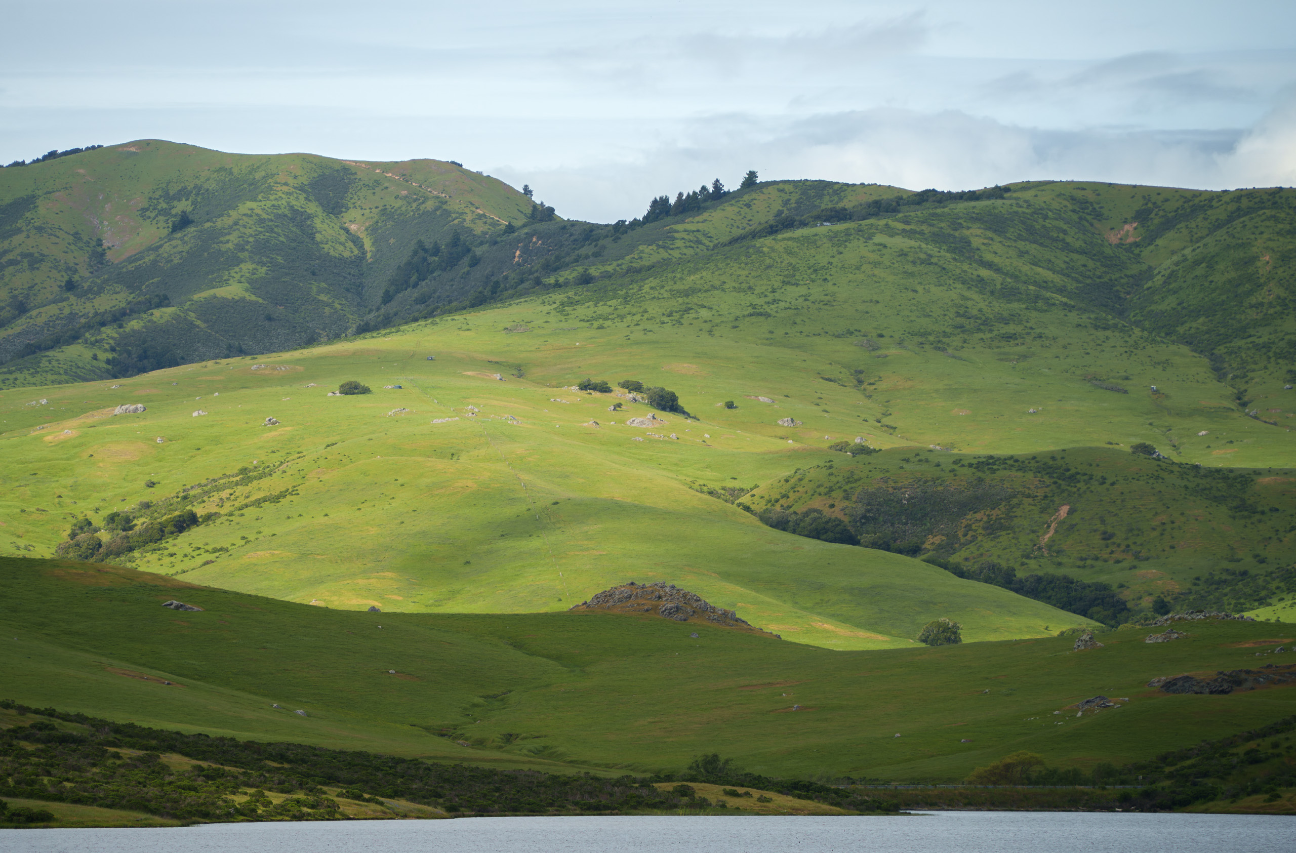 The Green Fields of Marin